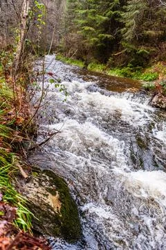 River in the ardennes Stock Photos