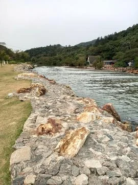 River arm with green forest and rocks Stock Photos