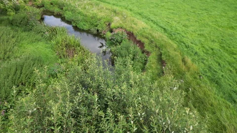 River Arrow, England. Stock Footage 247982519
