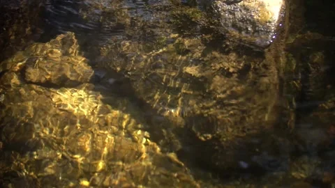 River in Atlantic Forest and Waterfall Stock Footage 131583438