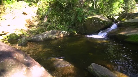 River in Atlantic Forest and Waterfall Stock Footage 131583764