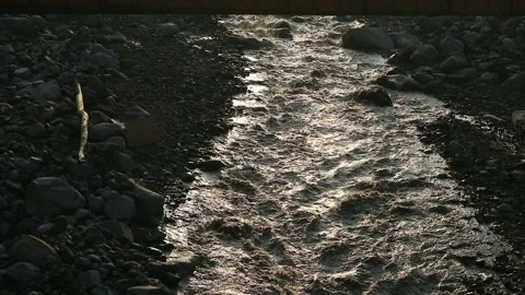 River atmosphere in the morning Stock-Footage 328962134