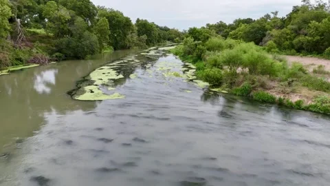 River in Austin TX Stock Footage 284938933
