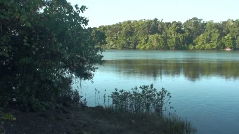 River in Australia Stock Footage 75731580