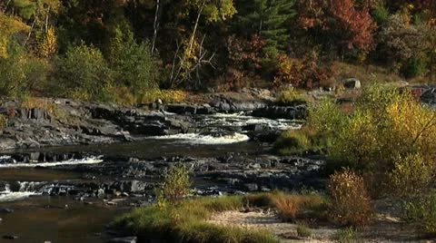 River in Autumn 2 Vidéo 20495963