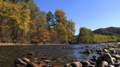 River in autumn colors Stock Footage 8950219