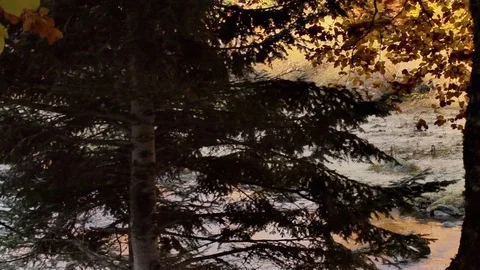 River in autumn crane motion Stock Footage 70391529