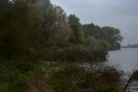 A river in autumn during a light rainfall with a forest on the shore of it Stock Photos