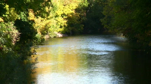 River in autumn Stock Footage 568508