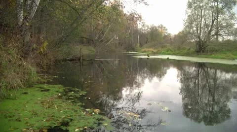 River in autumn Video stock 8911843