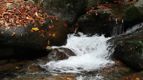 River in autumn 库存影片 8985180