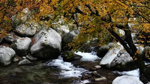 River in autumn 库存影片 8985188