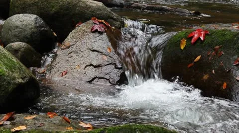 River in autumn Видео 8985192