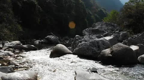 River in autumn 库存影片 8985196