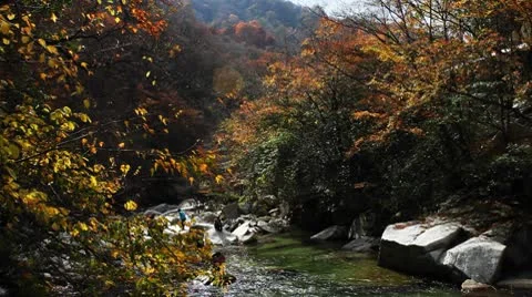 River in autumn 库存影片 8985200