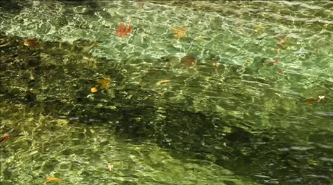 River in autumn Stock Footage 8985214