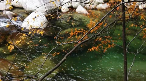 River in autumn Vídeos de archivo 8985223