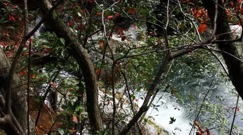 River in autumn 库存影片 8985233