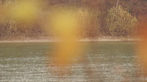 River, autumn Video stock 43885383