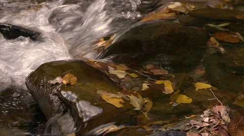 River in autumn Stock Footage 44293519