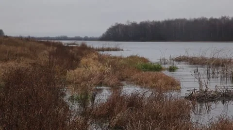 River in autumn Video stock 48896364