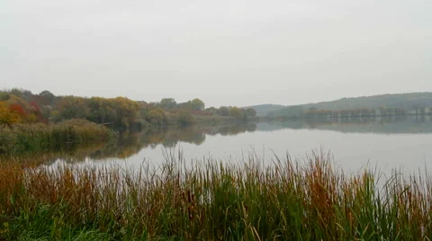 River in the autumn Video stock 55803625