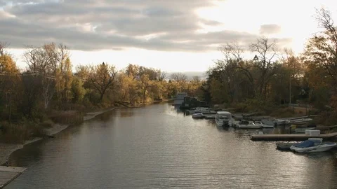 River in Autumn Stock Footage 82246007