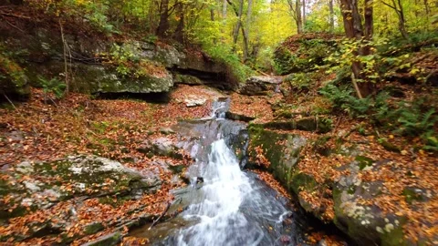 River autumn Video stock 164506240