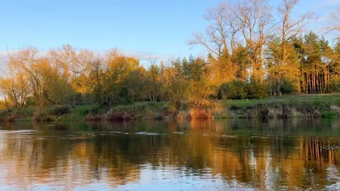River, Autumn Forest, Blue Sky and Running Clouds Video stock 330061453