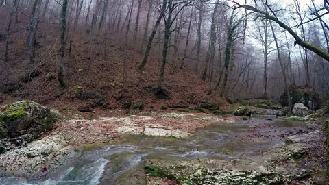 River in autumn forest Stock Footage 71798256