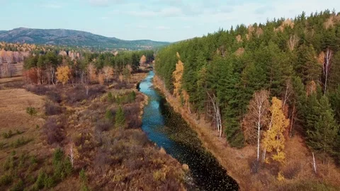 River autumn forest. Stock Footage 141388582