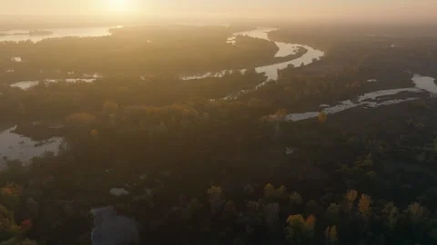 River autumn forest tree nature beautiful green summer aerial drone fly Stock Footage 254464200