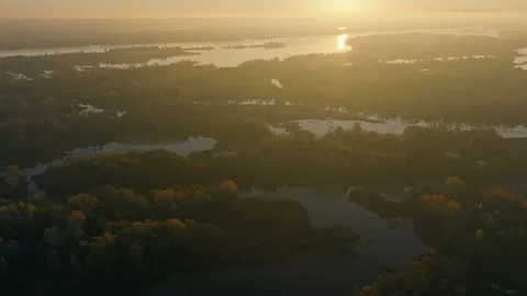 River autumn forest tree nature beautiful green summer aerial drone fly Video stock 254465601
