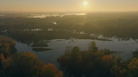 River autumn forest tree nature beautiful green summer aerial drone fly Stock Footage 254465778
