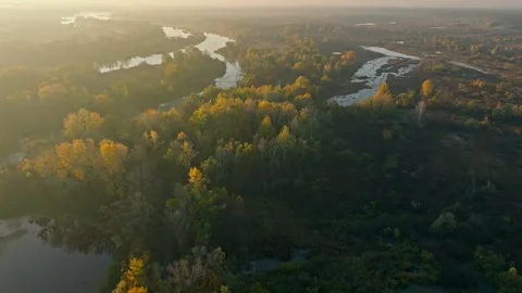 River autumn forest tree nature beautiful green summer aerial drone fly Stock Footage 254467971