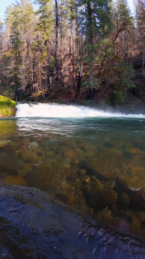River in autumn forest with waterfall Stock Footage 273869062