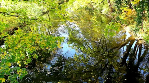 River autumn HD Stock Footage 32329524