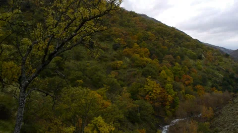 River in autumn mountains Stock Footage 35891272