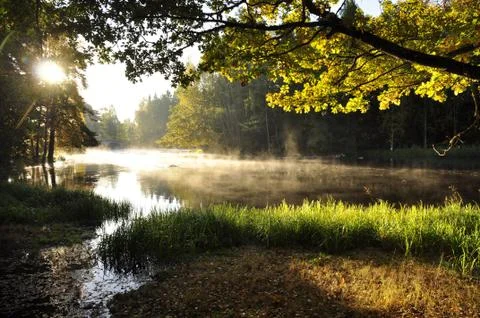 River in autumn Stock Photos