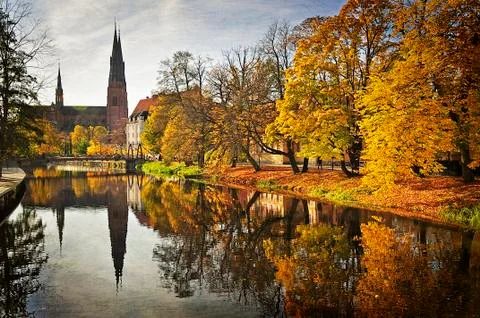 River in autumn Stock Photos