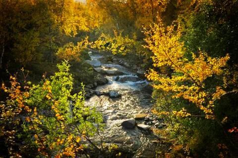 River in autumn Stock Photos