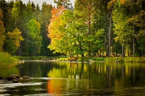 River in autumn Stock Photos