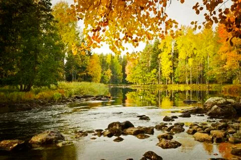 River in autumn Stock Photos