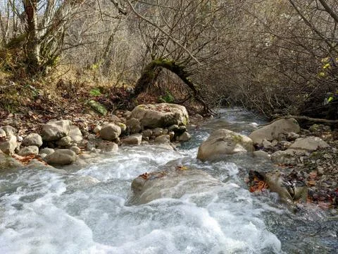 River in Autumn 写真素材