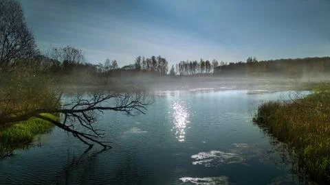 River in autumn Foto stock