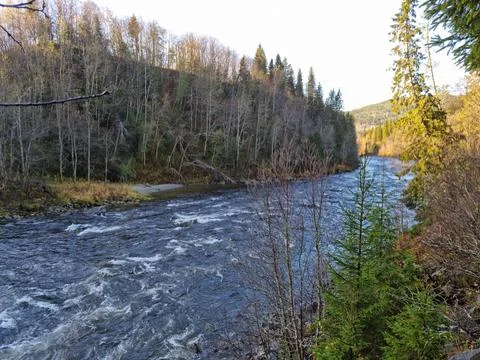 River in autumn Stock Photos