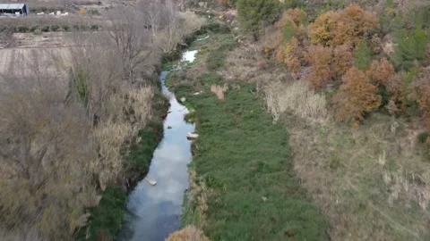 River in autumn time in Spain Stock Footage 171175445