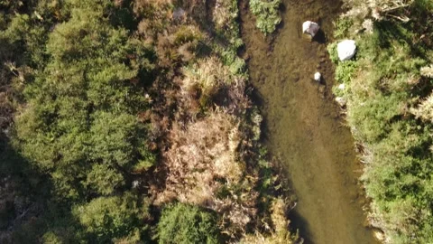 River in autumn time in Spain Stock Footage 171175454