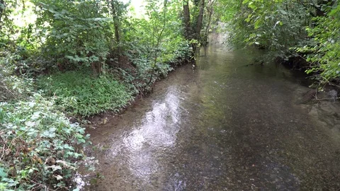 River in Autumn woods, early fall forest in sunny day. Stock Footage 94609341