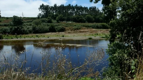 River Ave in Vila do Conde, Portugal in summer with blue sky and trees Stock Footage 113072667